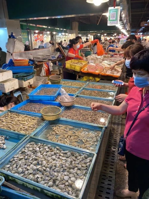 5月1日起溫州全面進入海洋伏季休漁期 還能享受哪些海鮮與養殖水產品？